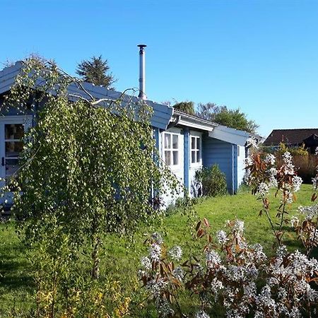 Das blaue Häuschen Westerholz Exterior foto